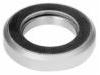 Release Bearing:CR 1175