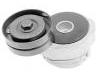 Belt Tensioner:PQG100230