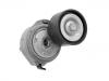 Belt Tensioner:51.95800.7437