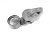 Belt Tensioner:20762060
