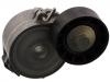 Belt Tensioner:5751.E9