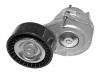 Belt Tensioner:55565570