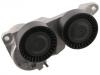 Belt Tensioner:31251251