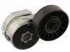 Belt Tensioner:6992642