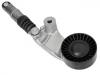 Belt Tensioner:23769-AA020