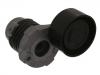 Belt Tensioner:11 75 061 93R
