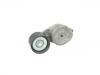 Belt Tensioner:504387130