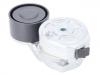 Belt Tensioner:2197388