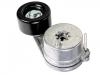 Belt Tensioner:74 21 983 651