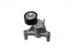 Belt Tensioner:31359881