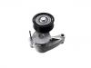 Belt Tensioner:32249371